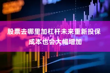 股票去哪里加杠杆未来重新投保 成本也会大幅增加