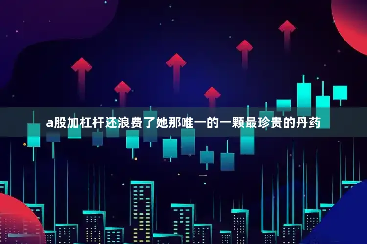 a股加杠杆还浪费了她那唯一的一颗最珍贵的丹药