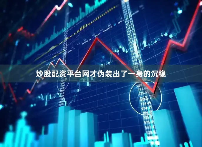 炒股配资平台网才伪装出了一身的沉稳