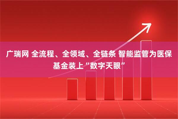 广瑞网 全流程、全领域、全链条 智能监管为医保基金装上“数字天眼”
