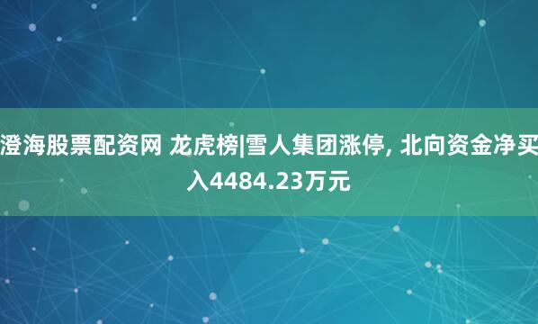 澄海股票配资网 龙虎榜|雪人集团涨停, 北向资金净买入4484.23万元